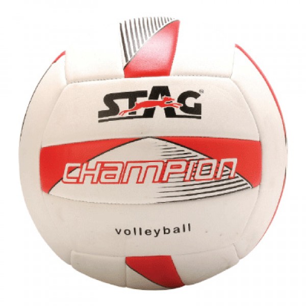 STAG Volley Ball Champion